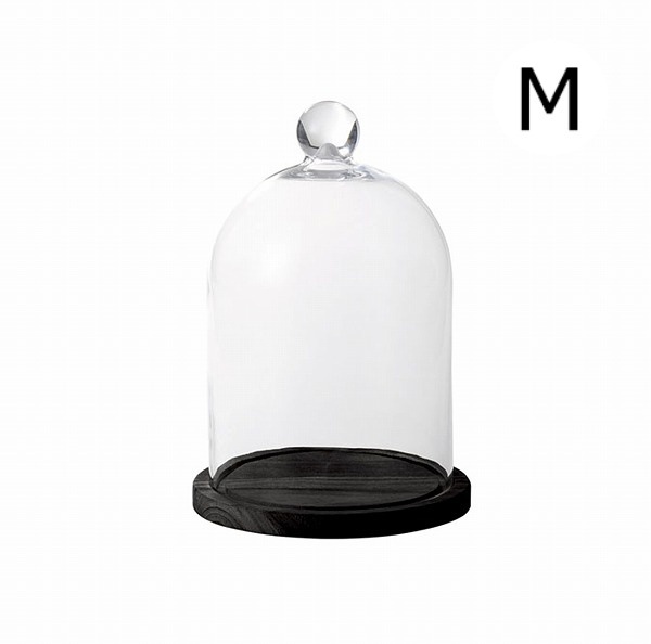 雑貨屋 ガラスドーム M ブラック 木製 ガラス［3サイズ］ | 小物入れ
