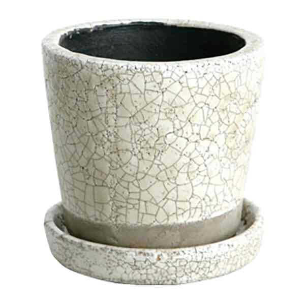 カラー グレーズド ポット3号