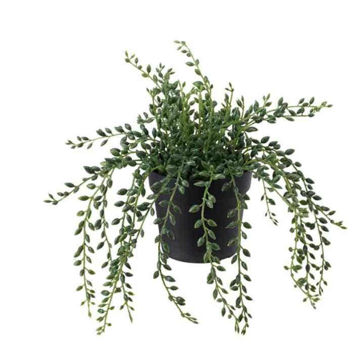FEJKA, Tanaman tiruan dalam pot, dalam/luar ruang senecio, 9 cm
