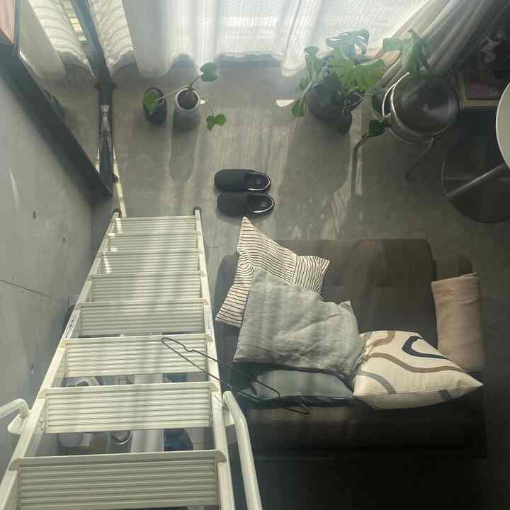 Natural color small living room featuring a brown sofa bed with four cushions, natural light, and plants creating a calm atmosphere