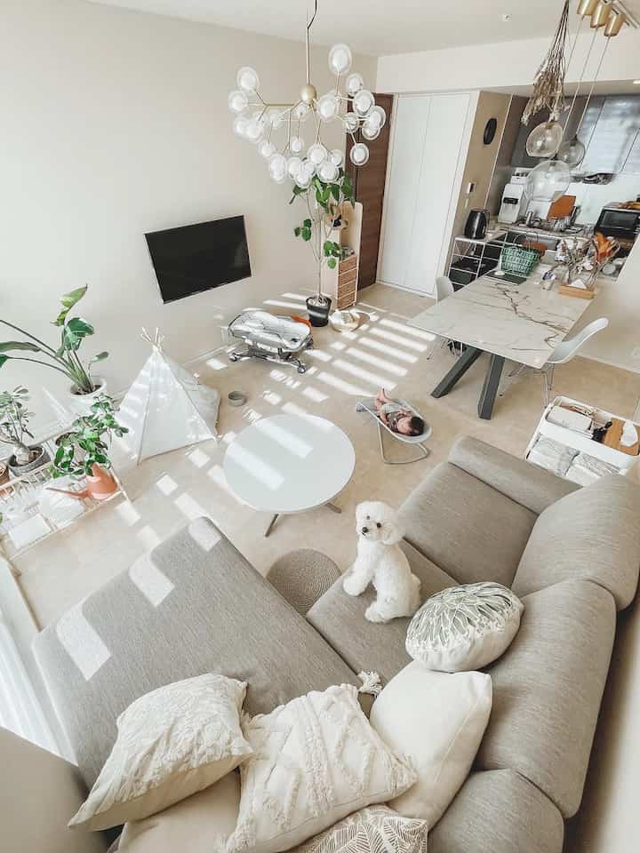 A white, green, and brown living room featuring a sofa, plants, a baby, and a pet dog, creating a cozy atmosphere