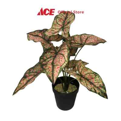 45cm tanaman artificial taro