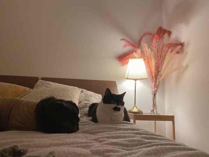 A cozy bedroom with brown and white tones featuring a bed, nightstand with table lamp and vase with pampas grass