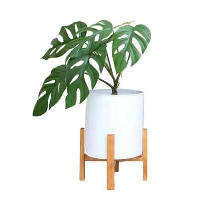 Pot dan Kaki Tanaman Kayu Rocket