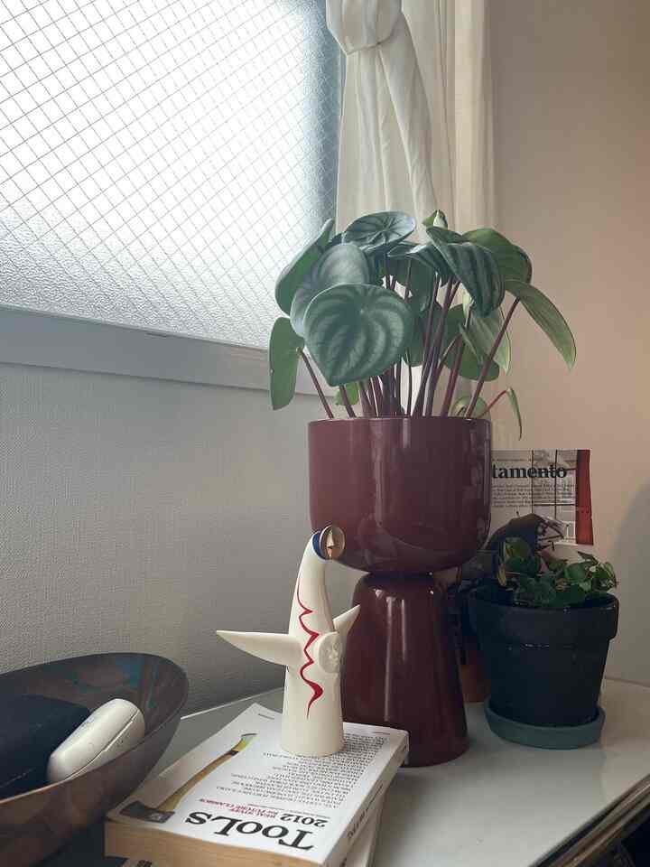 棚の上は、本を積み重ねて
ディスプレイすることが多いです

三角のバランスを意識しながら
小物のステージを作って飾っています

#Room stylist
#ルームスタイリング
#インテリア
#インテリアディスプレイ

　
