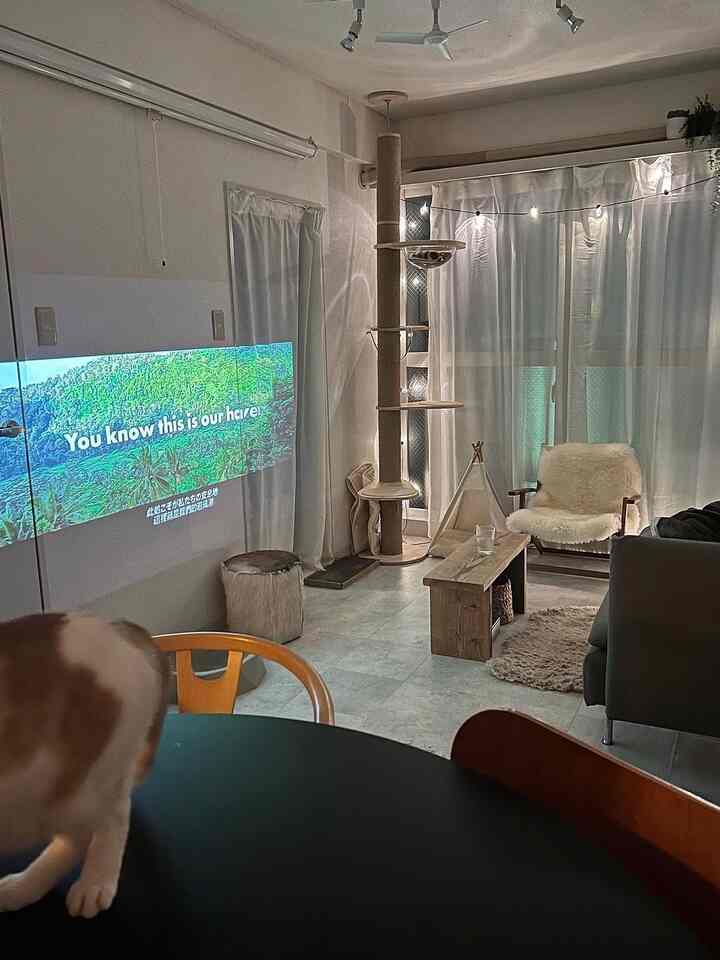 ナチュラルな木目調と白いカーテンが調和するリビング、キャットタワーとプロジェクタースクリーンを配置した雰囲気のあるホームシネマ空間