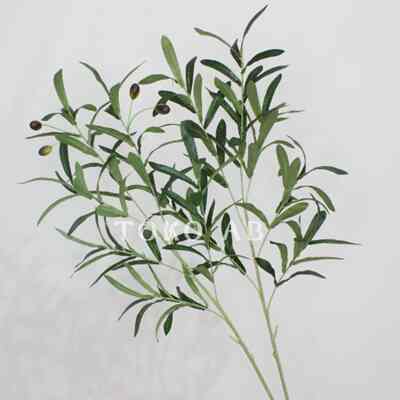 Tanaman zaitun artificial
