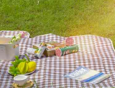 Tikar piknik anti air