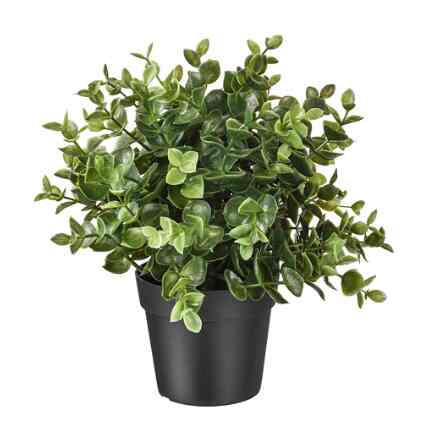 FEJKA, Tanaman tiruan dalam pot, oregano, 9 cm