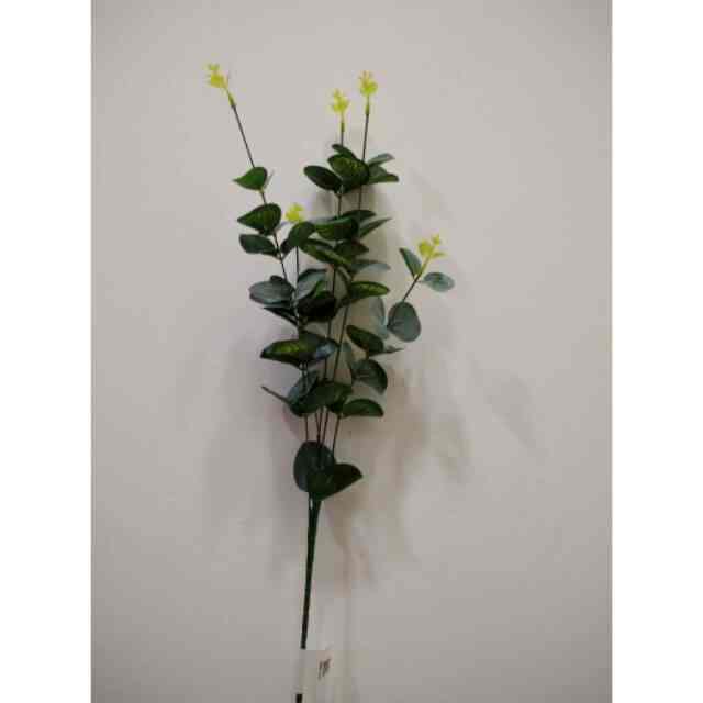 Daun dollar 60cm