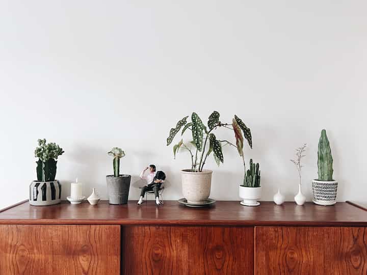 🪴🌵🌿🪴🌱🌳
植物と鉢を組み合わせたり
入れ替えたりするのは楽しい！

#グリーンインテリア #グリーン #観葉植物
#観葉植物インテリア #観葉植物のある暮らし