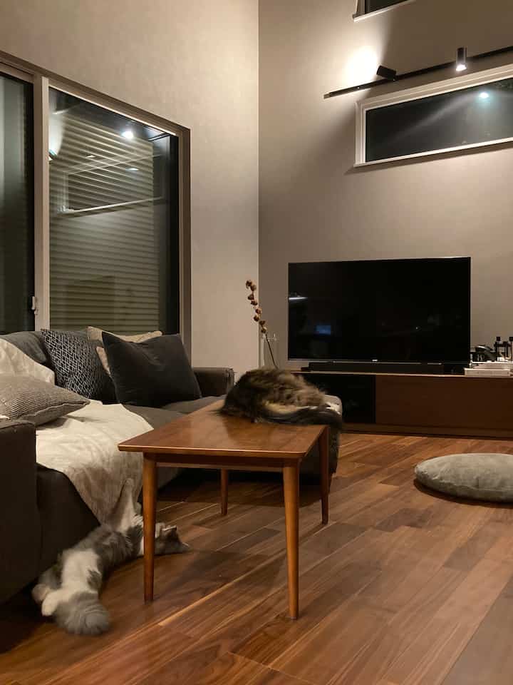 A warm living room with light brown wood flooring, dark gray sofa, and cats resting comfortably on the coffee table and floor