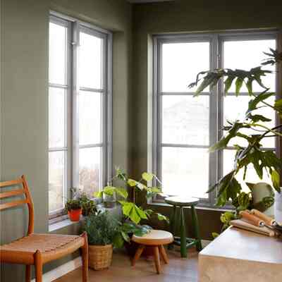 Cat tembok green leaf 8469