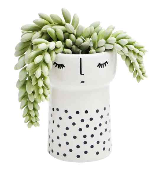 Tanaman Artifisial 14.6 Cm Sukulen Dengan Pot - Putih