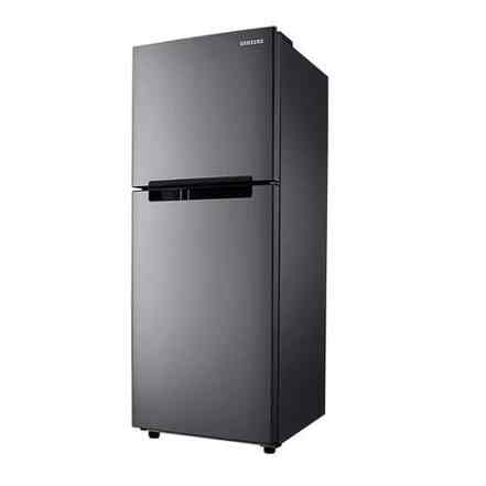 Kulkas 2 Pintu RT19M300BGS