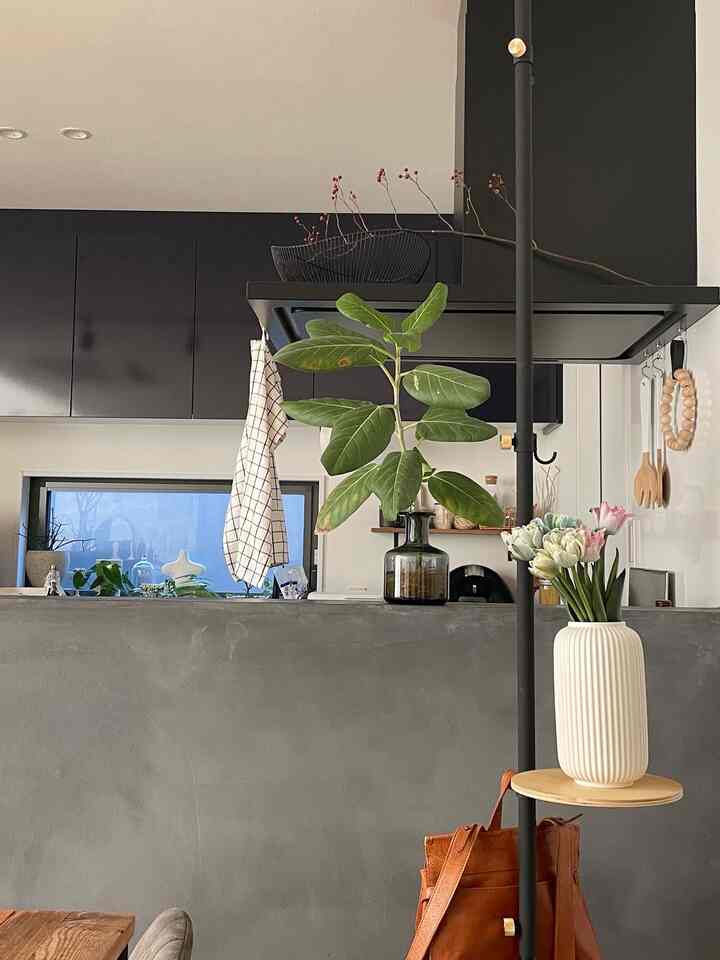 グレーのモールテックス壁と黒いキャビネットがあるモダンなインダストリアルキッチン、花瓶と植物が配されたナチュラルな雰囲気の空間