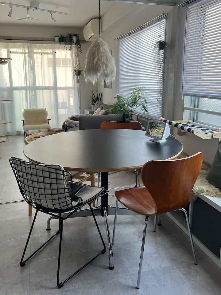 Bright dining room with white walls and natural wood tones, featuring a black round dining table and mixed chairs creating a cozy atmosphere