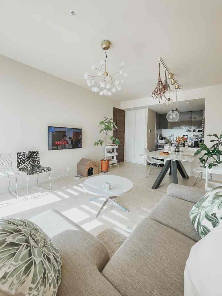 White and green toned living room featuring sofa, coffee table, and plants with a relaxing atmosphere