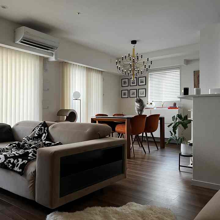 White-walled living and dining room with brown wood flooring, sofa, chandelier, and a cat creating a warm atmosphere