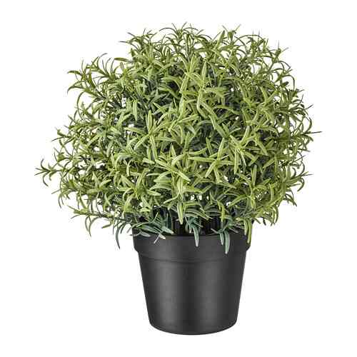 FEJKA Tanaman tiruan dalam pot, rosemary, 9 cm