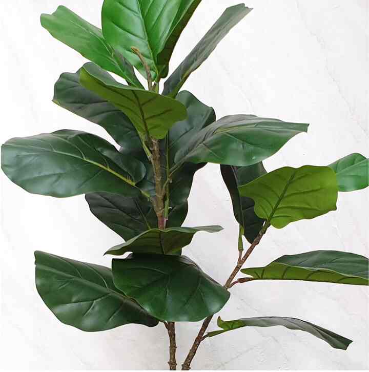 Pohon Ketapang Artificial Cabang 2