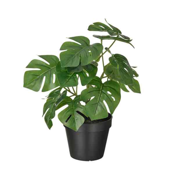 FEJKA, Tanaman tiruan dalam pot, dalam/luar ruang monstera, 12 cm