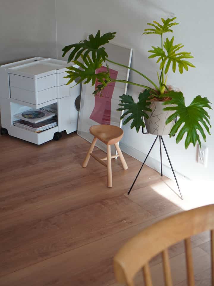 白い壁とボビーワゴン、木目調の床とスツール、大きな観葉植物が配置されたナチュラルな雰囲気の空間