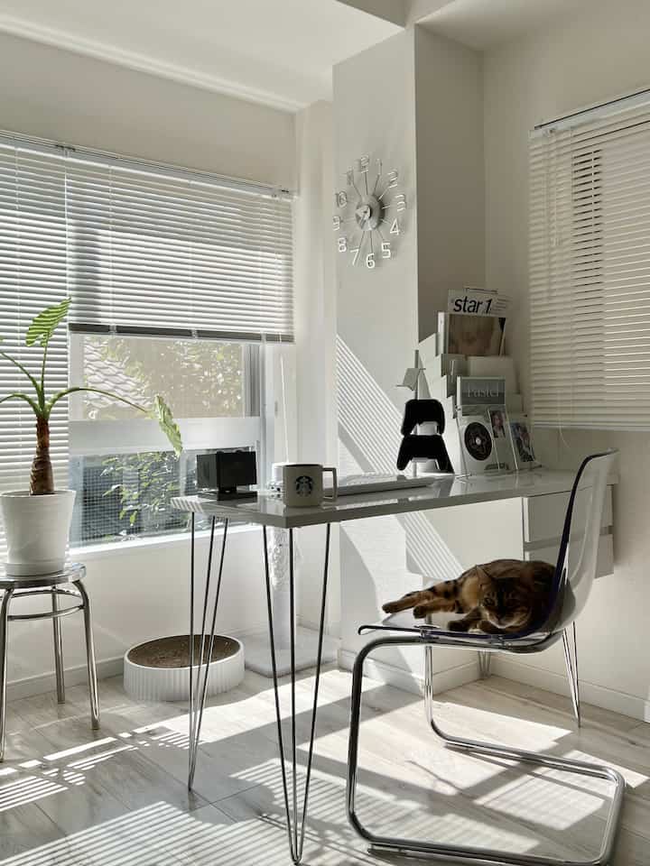明るい白色調のリビング兼ワークスペース、透明な椅子とステンレススツールが配置され、猫がくつろいでいる清潔感のある空間