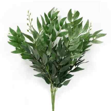 Daun Willow Leaf