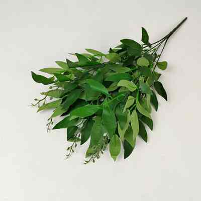 Daun Willow Cabang 5