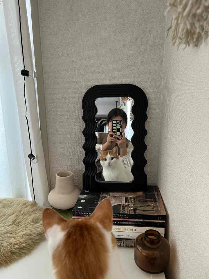 ベージュとナチュラルな色調の小さな空間、特徴的な額縁鏡に映る猫と人がいる、落ち着いた雰囲気のインテリア