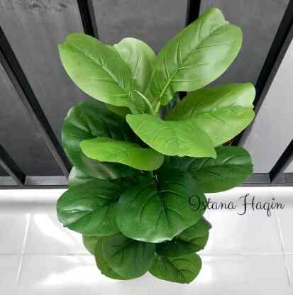 Set Pohon Ketapang Artificial