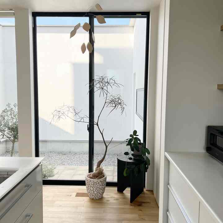 明るい木目の床と白い壁、大きな窓の前に黒い曲線のサイドテーブルと2つの植物が配置されたシンプルなベランダの空間