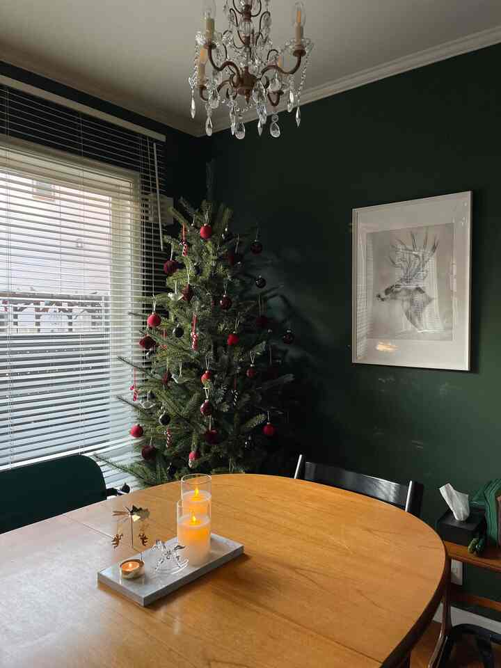 I put out the Christmas tree!
The tree is a size 210 from IKEA.
The leaves have a firm spread,
It has a lot of volume and is a very nice looking tree.
The ornaments were also bought at IKEA.
I mix it up with things I bought elsewhere.
Looks like you'll have fun looking at the tree from now until Christmas!
#ikea #christmas #christmastree #red
#IKEA #クリスマス #クリスマスツリー
#Christmas deco