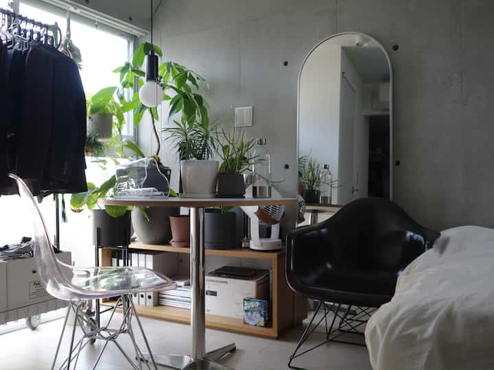 Natural tone home office and dining room featuring numerous plants, a transparent chair, and a black dining chair in a cozy space
