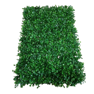 Daun rambat palsu 40x60