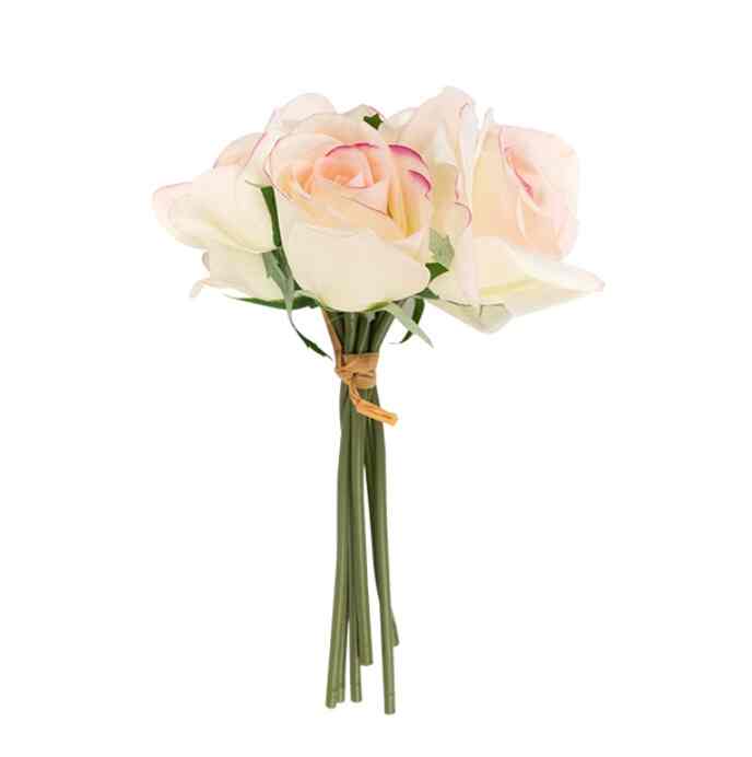 Sladko Carola Roses Purple