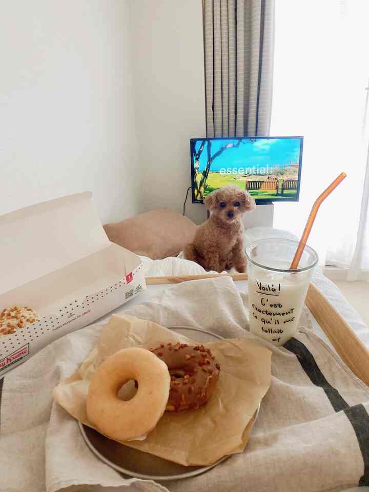 ナチュラルなベージュ色調の寝室、ベッド上の犬とベッドトレイが配置されたくつろぎの空間