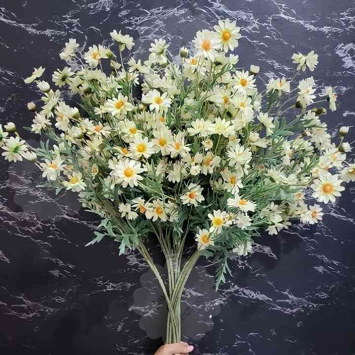 Bunga Baby Breath Gypsophila