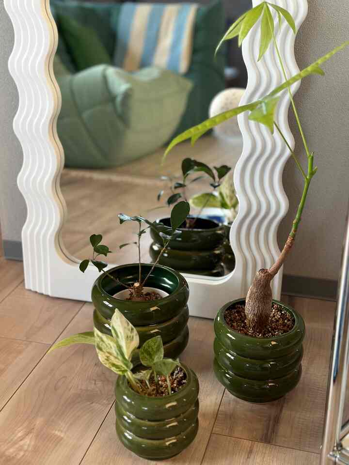 お気に入りのバブルポット🫧
サイズは3種類、全てゲットしました👏
#リビング #鉢カバー #ミラー
