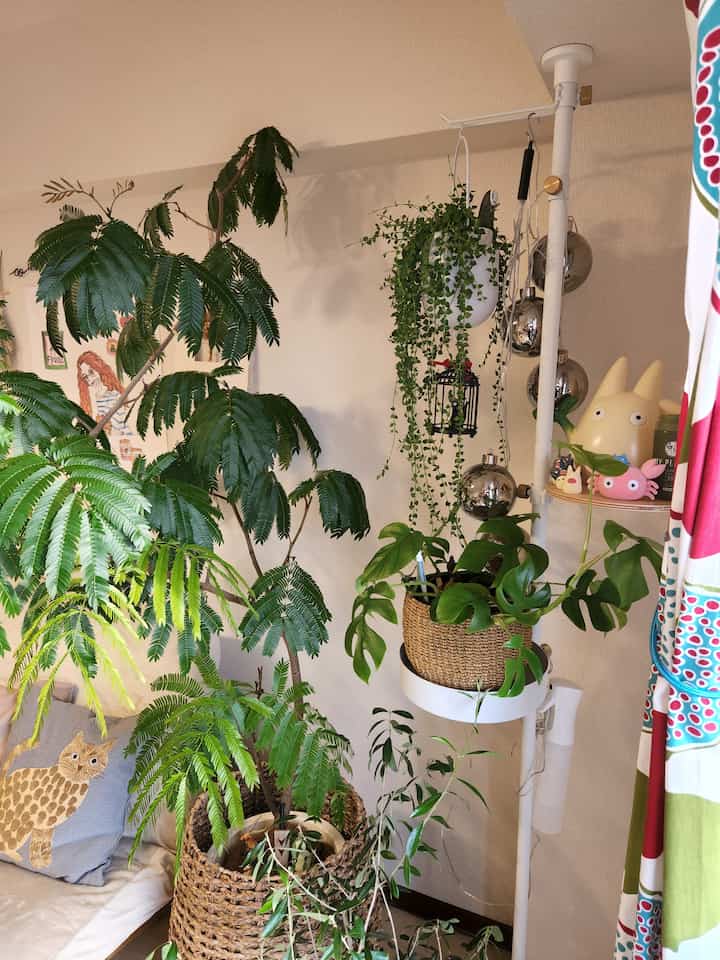 Natural green-toned 1K studio featuring a sofa bed and multiple plants with cozy interior