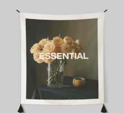 ESSENTIAL 04 Photo Hanging ファブリックポスター