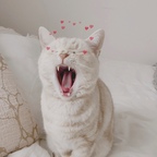 _95726__님의 프로필 이미지