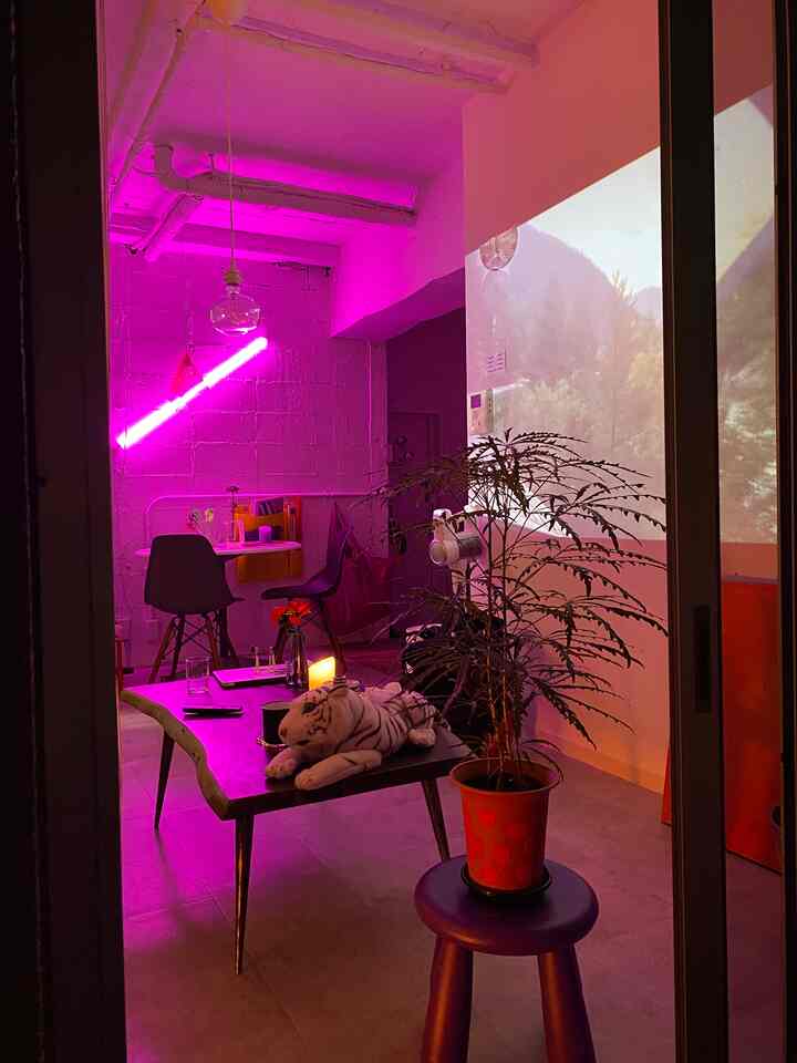 Studio apartment living room with pink ambient lighting, plants, coffee table and stool creating a stylish two-person space