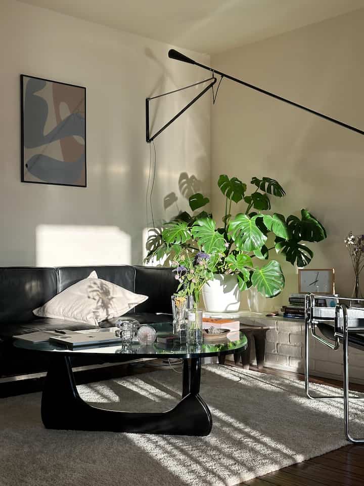 Sunny day in our living room!

#midcenturymodern #sanfrancisco #hermanmiller 