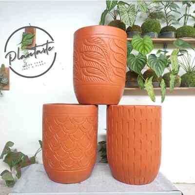 Pot terracota