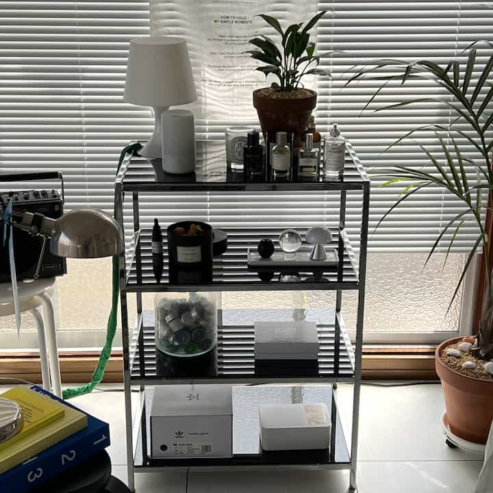 A modern vintage-style rack featuring black and white elements with green plants in a compact space