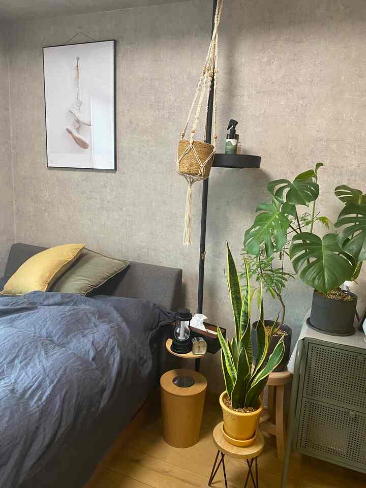 グレーの壁と木目調の床を背景に、ベッドと多くの植物が配置されたナチュラルな寝室空間