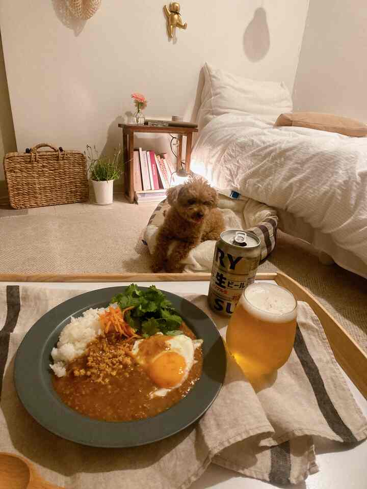ナチュラルな色調の寝室、白いベッドとベージュのラグ、小さな犬がペットベッドに座り、食事とビールの載ったトレイが配置された雰囲気のある空間