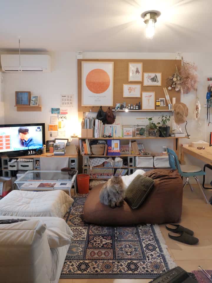 Cozy small living room with brown bean bag, bookshelf, and rug, featuring a cat sitting prominently in the center